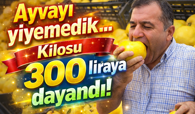 Ayva lüks oldu! Kilosu tam 300 lira...