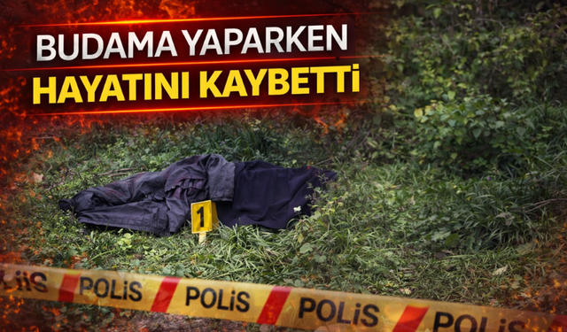 Budama yaparken hayatını kaybetti