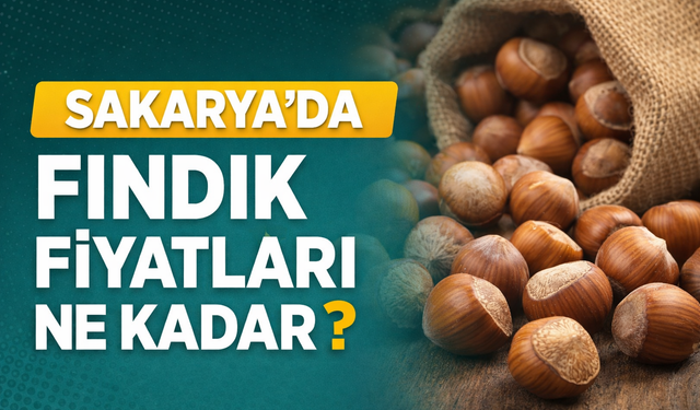 28 Mart 2026 Sakarya Fındık Fiyatları
