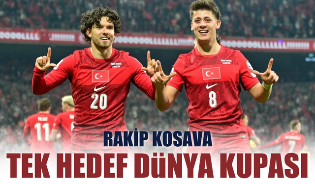 A Milli Futbol Takım, Dünya Kupası bileti için Kosova ile karşılaşacak