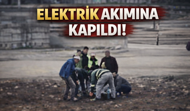 Sakarya’da Trafo Onarımı Sırasında Korkunç Kaza: İşçi Elektrik Akımına Kapıldı