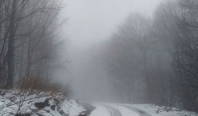 Erdek'in yüksek kesimlerinde kar etkili oldu