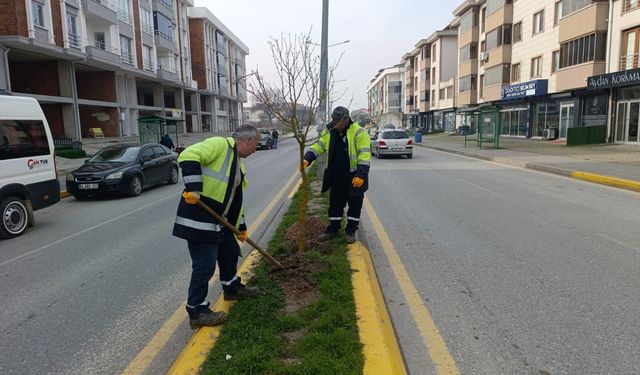 Hendek’te Parklar ve Yürüyüş Yolları Yenileniyor: Yeşil Alanlar Fidanlarla Güçleniyor