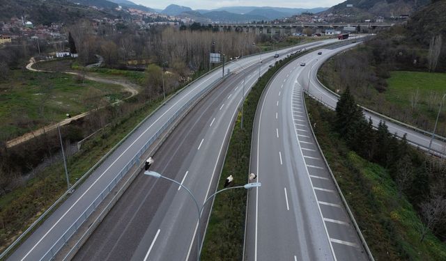 Göç yolundaki leylekler Bilecik'te mola verdi