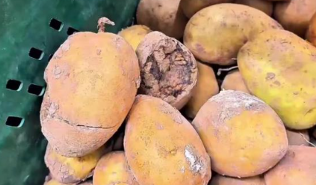 Çürük ürünler ve tarihi geçmiş gıdalar satıştan kaldırıldı