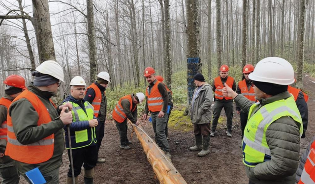 Orman Personeline Uygulamalı Eğitim: İş Güvenliği ve Üretim Vurgusu