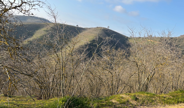 Mazottaki Artış Desteklere Yansımadı