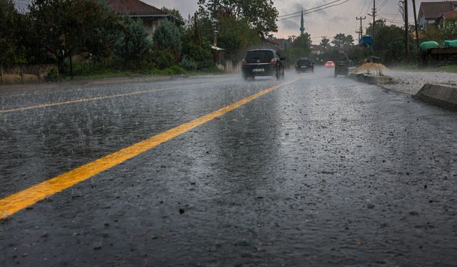 Sapanca Gölü’nde sevindiren gelişme