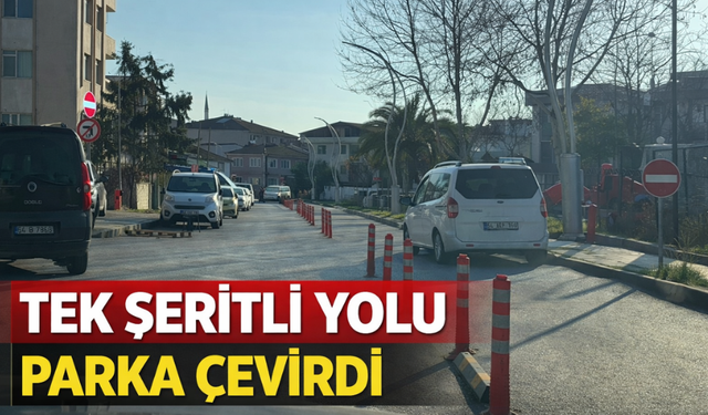 Yasak olmasına rağmen park etti!