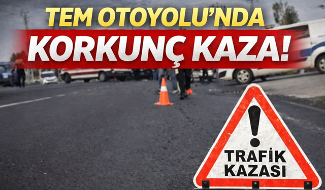 TEM Otoyolu’nda Korkunç Kaza