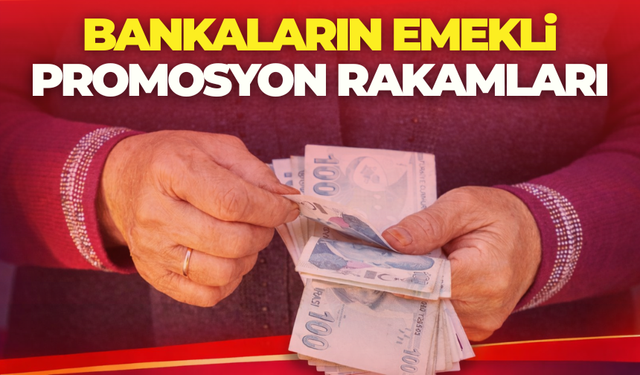 Hangi Banka En Yüksek Emekli Promosyonunu Veriyor?