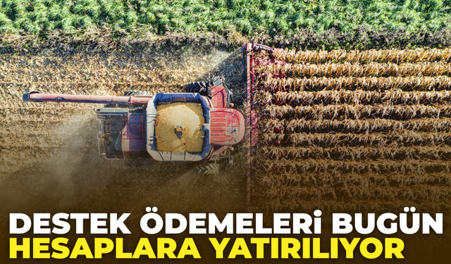 Çiftçi Destek Ödemeleri Bugün Hesaplara Yatıyor