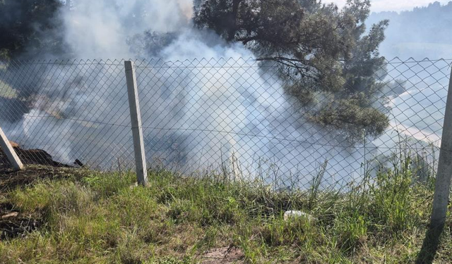 Tarlada Yakılan Ateş Ormana Sıçradı! Türbe Çevresinde Korkutan Yangın