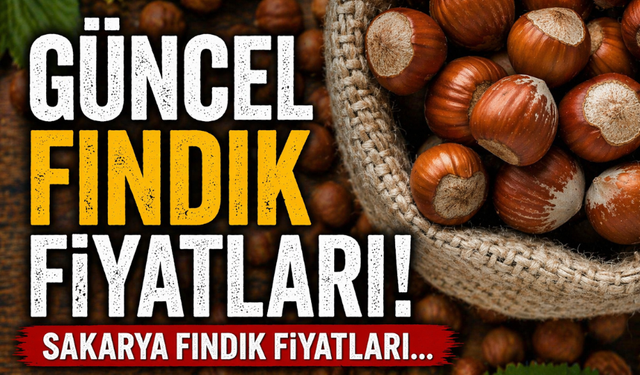 02 Eylül 2026 güncel Sakarya fındık fiyatları kaç TL oldu?
