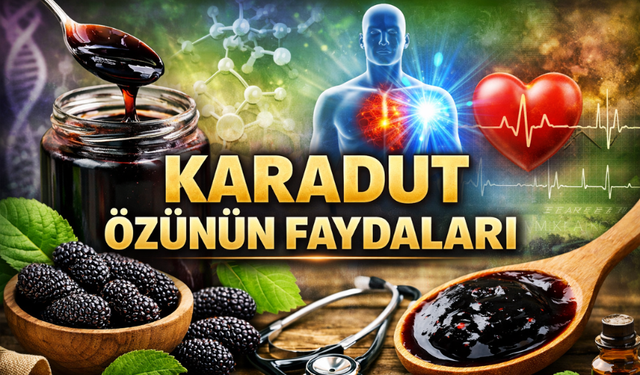 Karadut Özünün Faydaları Neler, Nasıl Tüketilir?