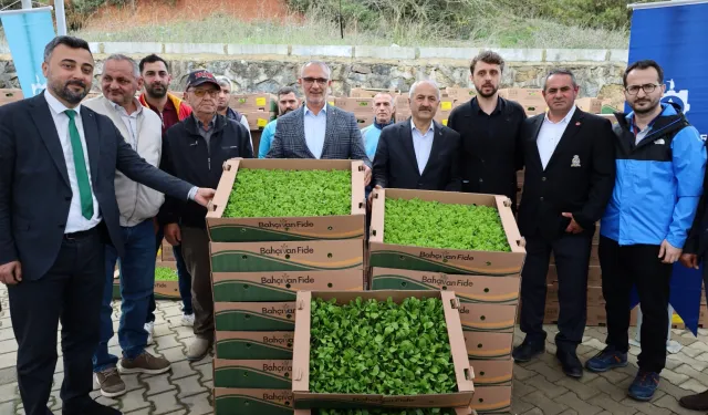 Kocaeli'de çiftçilere sebze fidesi desteği
