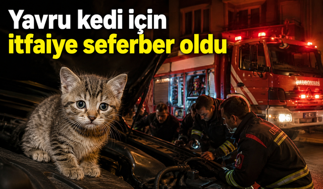 Yavru kedi için itfaiye seferber oldu