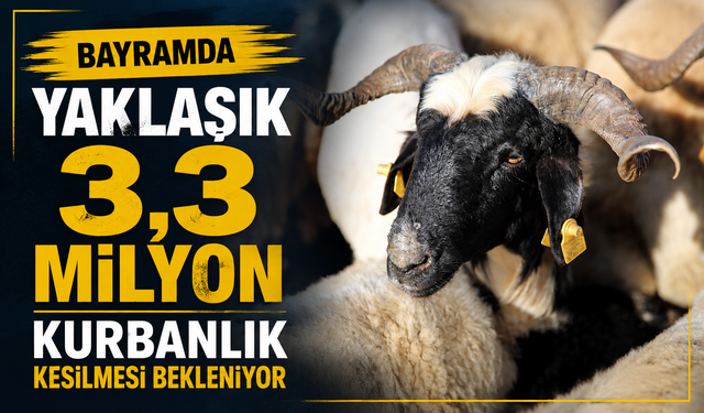 Bayramda 3,3 Milyon Kurbanlık Kesimi Bekleniyor
