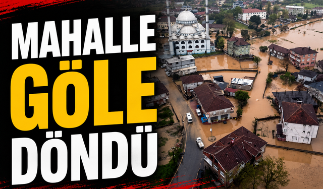 Mahalle göle döndü!