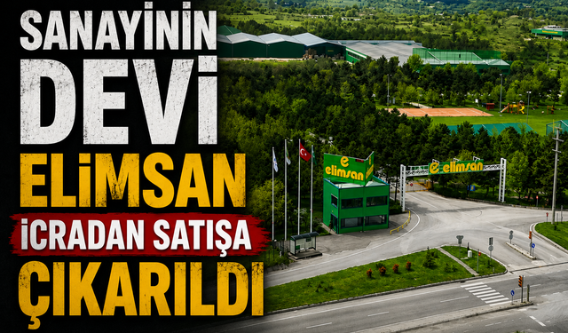 Sanayinin Devi Elimsan İcradan Satışa Çıkarıldı