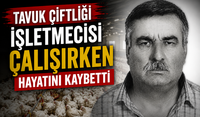 Tavuk Çiftliği İşletmecisi Çalışırken Hayatını Kaybetti