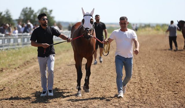 'Kavasoğlu ve Şamdancıbaşı İbrahim Yağlı Pehlivan Güreşleri' başladı