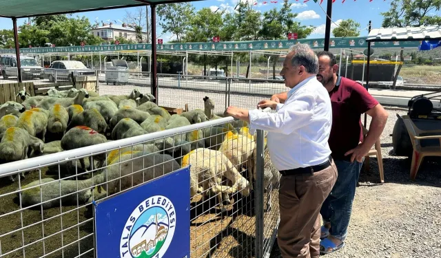 Kayseri Talas'ta kurban pazarına yoğun ilgi