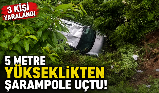 Sapanca’da Feci Kaza: Araç Şarampole Uçtu, 3 Yaralı