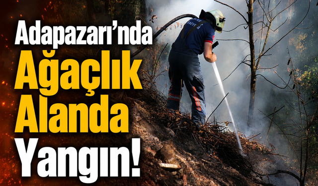 Adapazarı'nda Ağaçlık Alanda Yangın! Mahalleyi Duman Kapladı
