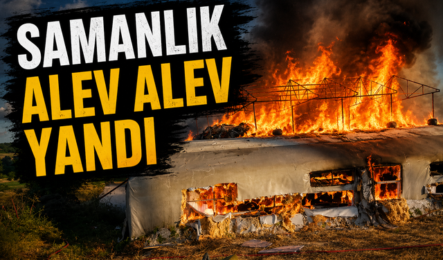 Kaynarca'da Küçükbaş Hayvan Çiftliğinde Yangın