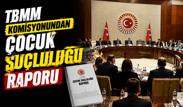 TBMM Komisyonundan Çocuk Suçluluğu Raporu