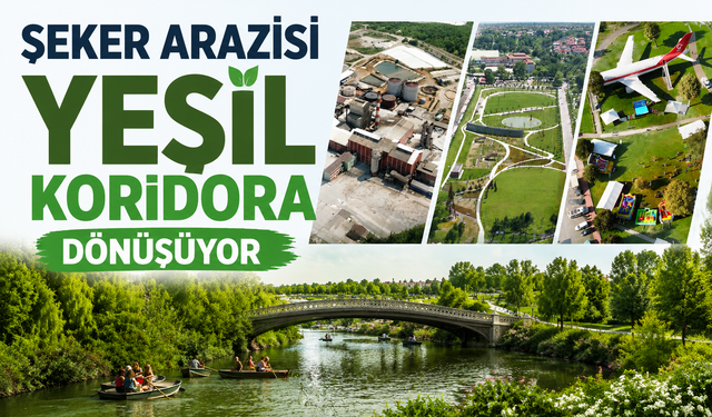 Şeker Arazisi Yeşil Koridora Dönüşüyor