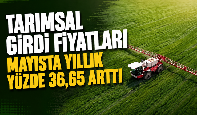 Tarımsal Girdi Fiyatları Mayısta Yıllık Yüzde 36,65 Arttı
