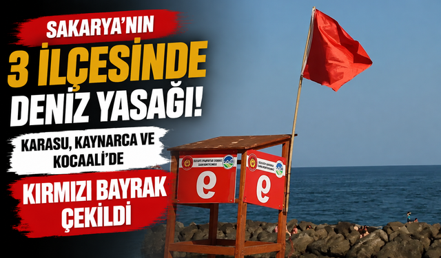 Sakarya'nın 3 İlçesinde Deniz Yasağı! Karasu, Kaynarca ve Kocaali'de Kırmızı Bayrak Çekildi