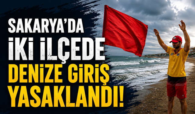 Sakarya'da İki İlçede Denize Giriş Yasaklandı! Karasu ve Kocaali İçin Kritik Uyarı