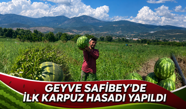 Geyve Safibey’de İlk Karpuz Hasadı Yapıldı
