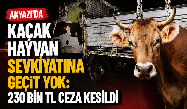 Akyazı’da Kaçak Hayvan Sevkiyatına Geçit Yok: 230 Bin TL Ceza Kesildi