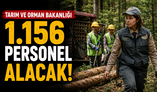 Tarım ve Orman Bakanlığı 1.156 Personel Alacak! KPSS Şartı Yok
