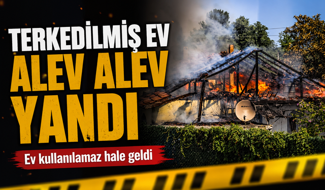 Sapanca'da Terk Edilmiş Ev Alevlere Teslim Oldu!