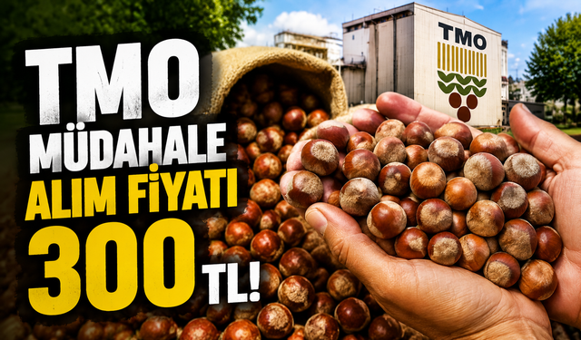 TMO müdahale alım fiyatı 300 TL!