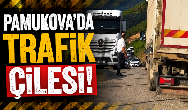 Pamukova’da D-650 Çilesi Büyüyor