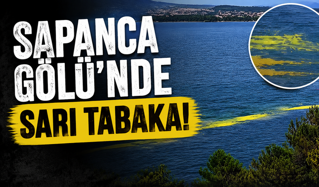 Sapanca Gölü’ndeki Yosunumsu Şeridin Nedeni Belli Oldu