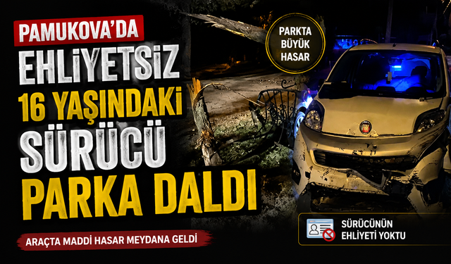 Pamukova’da Ehliyetsiz 16 Yaşındaki Sürücü Parka Daldı