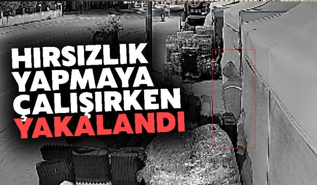 Serdivan’da Paspas Hırsızlığı Girişimi Kamerada