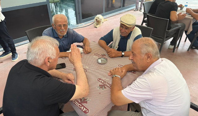 Milletvekili İnci’den Geyve Çıkarması
