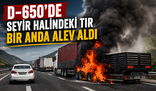 D-650'de seyir halindeki TIR bir anda alev aldı
