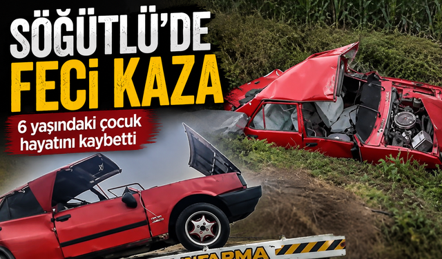 Söğütlü’de Feci Kaza