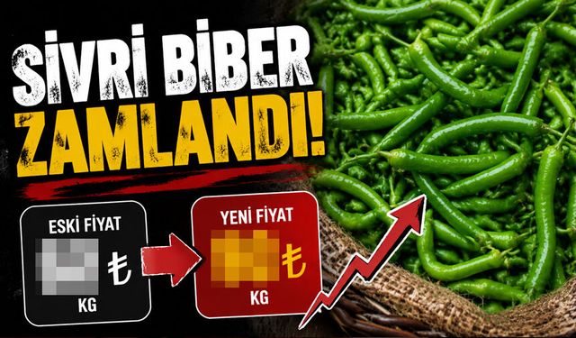 Temmuzda Fiyatı En Çok Artan Ürün Sivri Biber Oldu