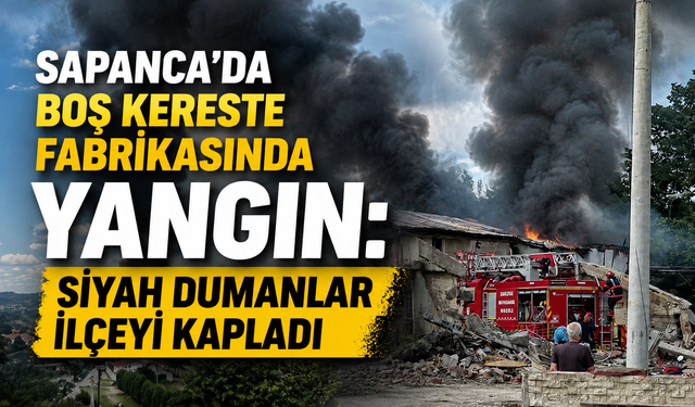Sapanca'da Boş Kereste Fabrikasında Yangın: Siyah Dumanlar İlçeyi Kapladı