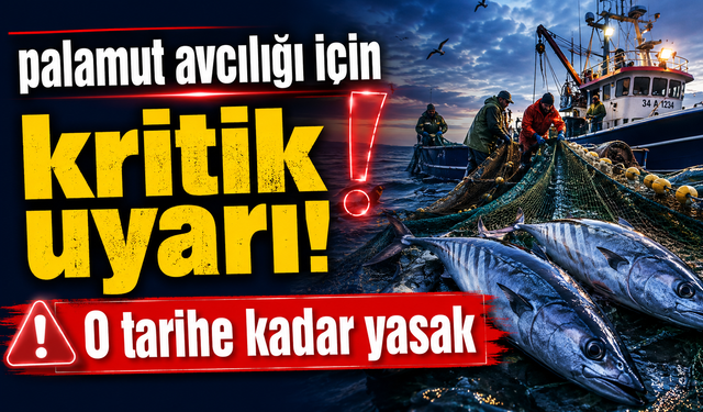 Sakarya’da Palamut Avcılığı Yasağı 15 Ağustos’a Kadar Sürecek